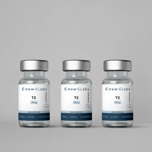 T2 - Image 4